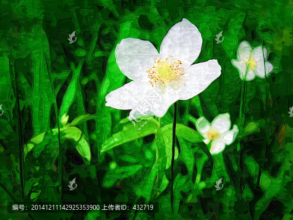 草原上的野花,裝飾畫