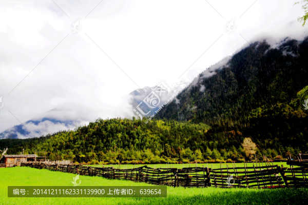 林芝風(fēng)景