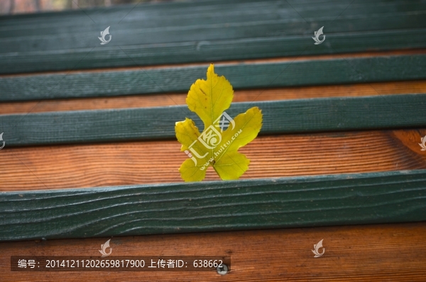 落葉
