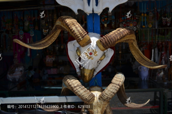 羊頭骨裝飾品