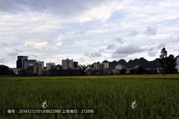 荔波