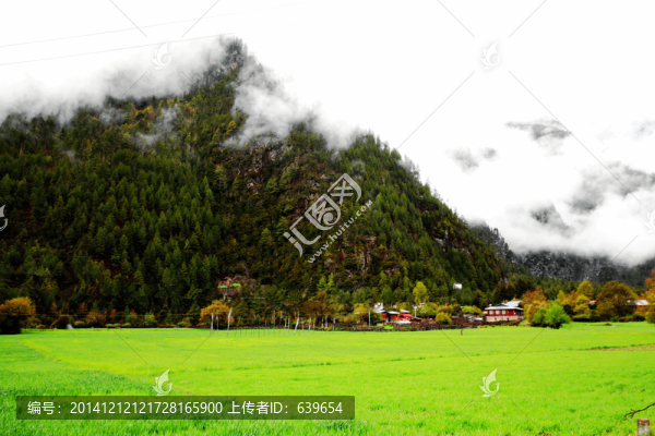 林芝風(fēng)景