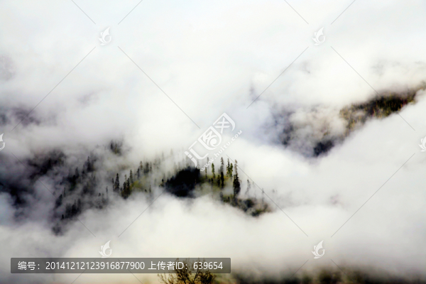 林芝風景