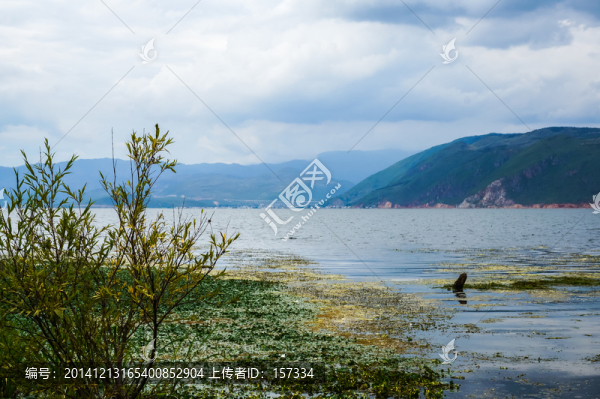 大理洱海