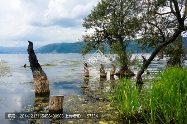大理洱海