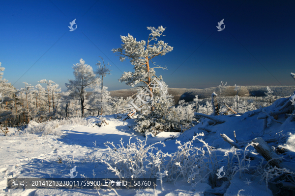 林海雪原