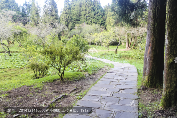 公園小路
