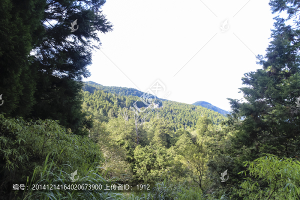 阿里山
