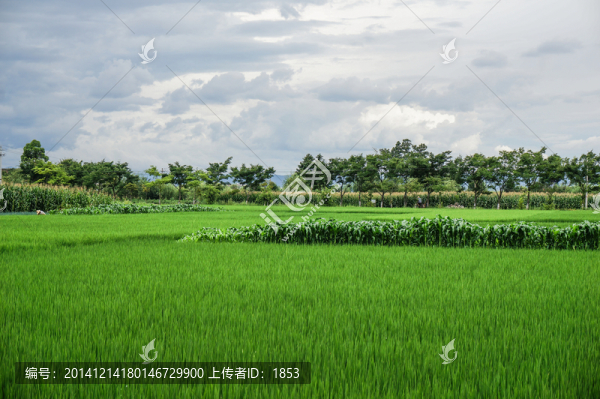 云南大理風(fēng)光