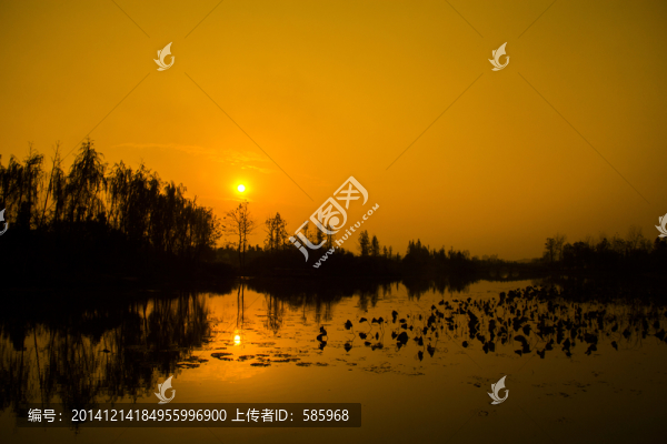 長(zhǎng)沙洋湖濕地公園日落夕陽(yáng)剪影
