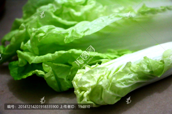 白菜攝影,白菜拍攝,白菜圖