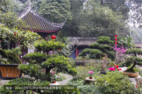 杜甫草堂盆景園