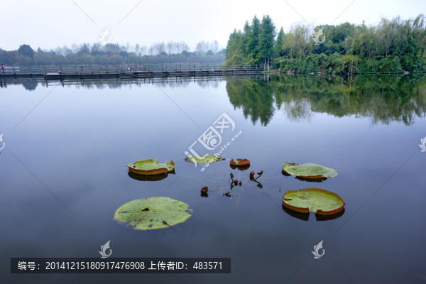 湖