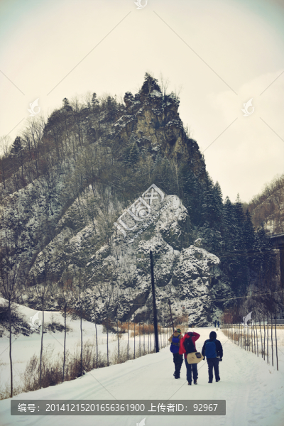 松嶺雪村雪松