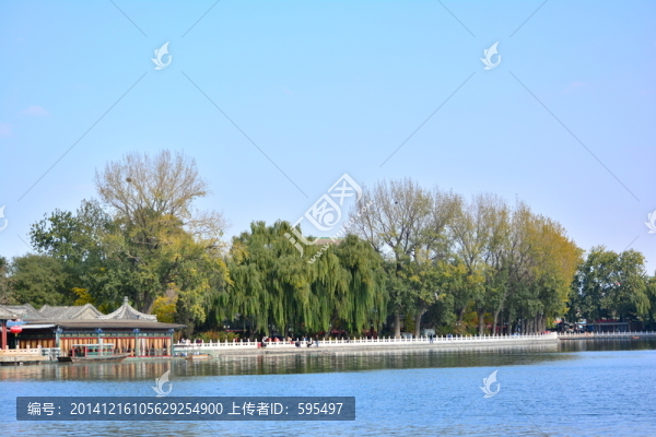 彼岸