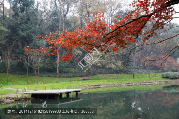 冬季湖畔風景