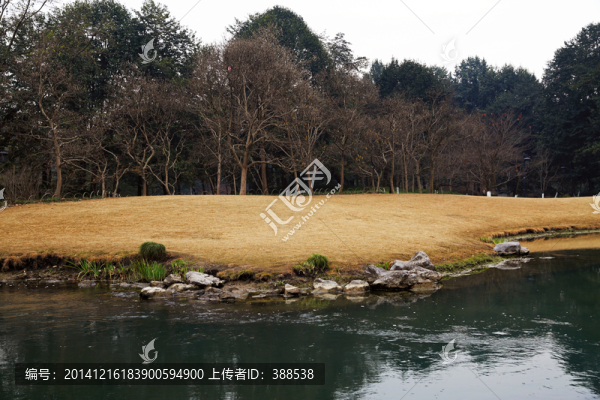 水邊金黃色草坪