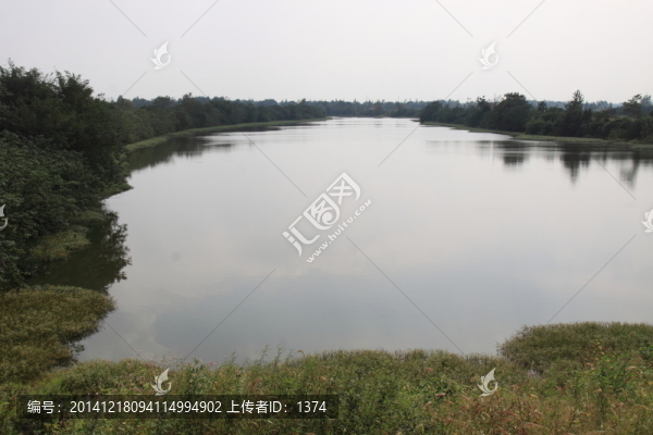 池塘風(fēng)光