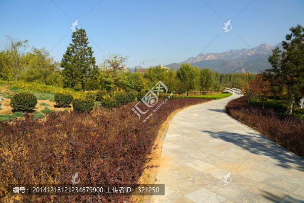 公園綠化