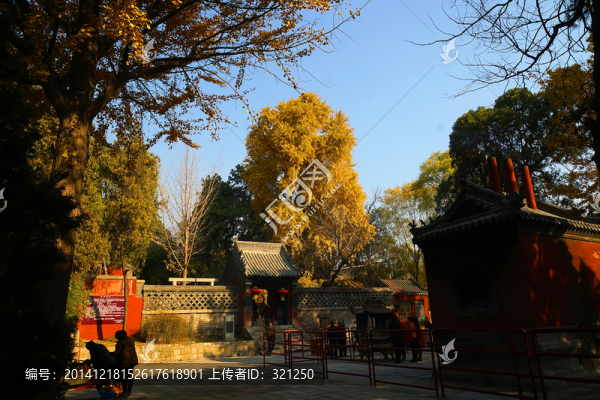 泰山王母池
