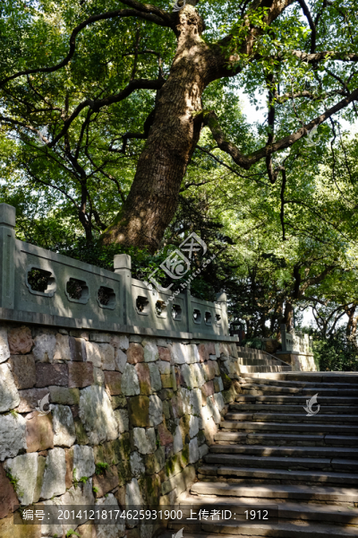 臺(tái)階