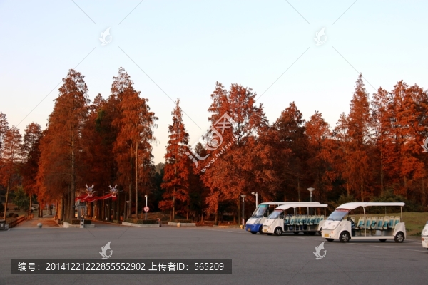 磨山風景