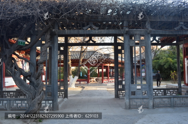 興慶宮園景