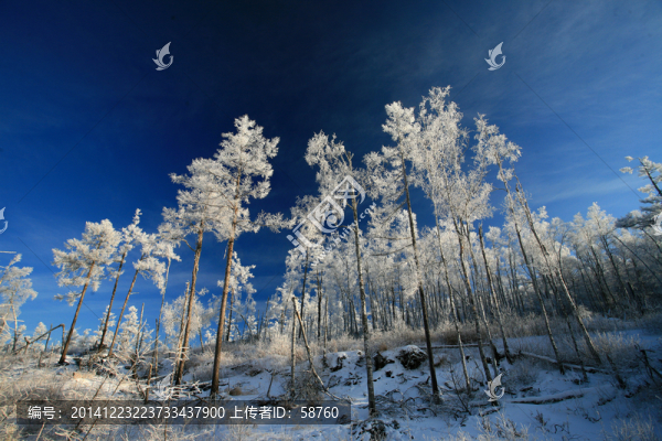 大興安嶺林海雪原