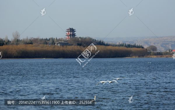 天鵝湖風(fēng)光