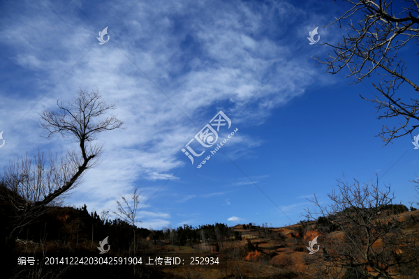 原野
