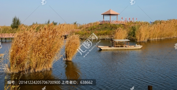 庫(kù)爾勒博斯騰湖