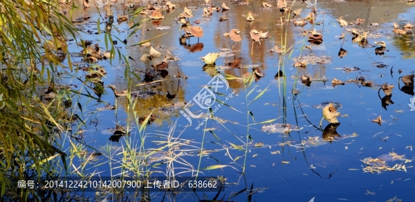 庫爾勒博斯騰湖
