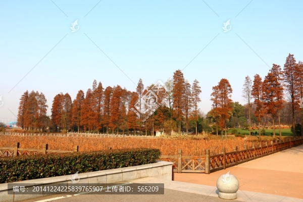 磨山風(fēng)景