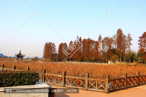 磨山風景