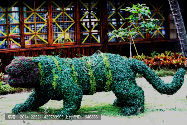 植物虎