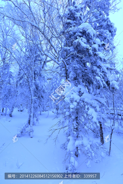 冰雪旅游
