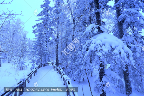 冰雪旅游