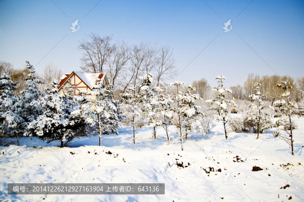 家鄉(xiāng)雪景