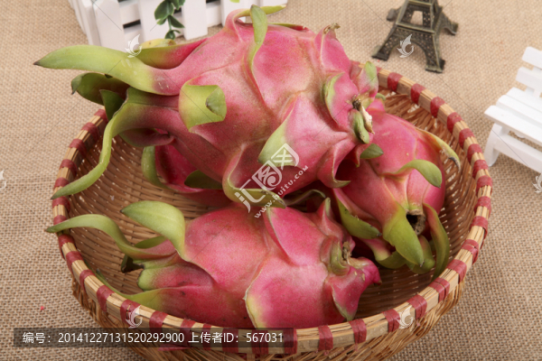 火龍果