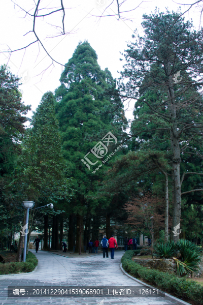 廬山風(fēng)光