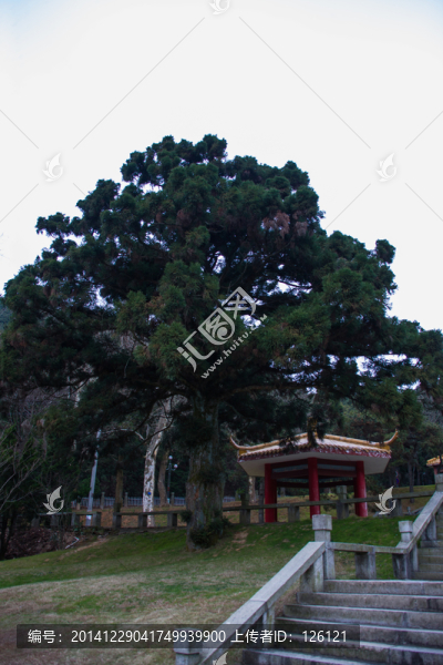 廬山風光