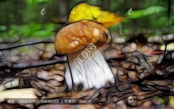 蘑菇裝飾畫