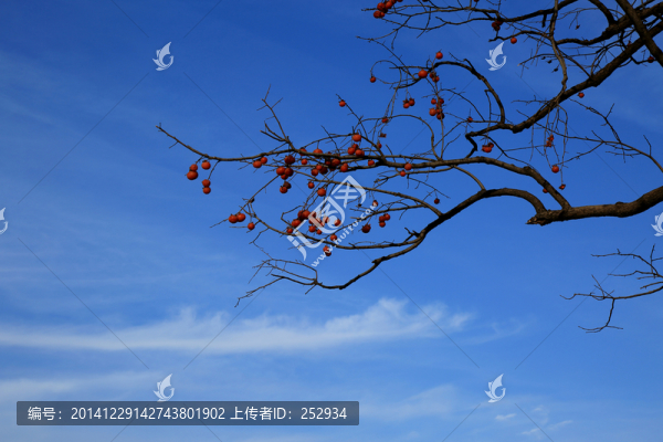 藍(lán)天白云