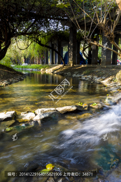 園林水景