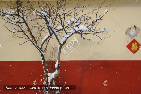 掛雪的石榴樹