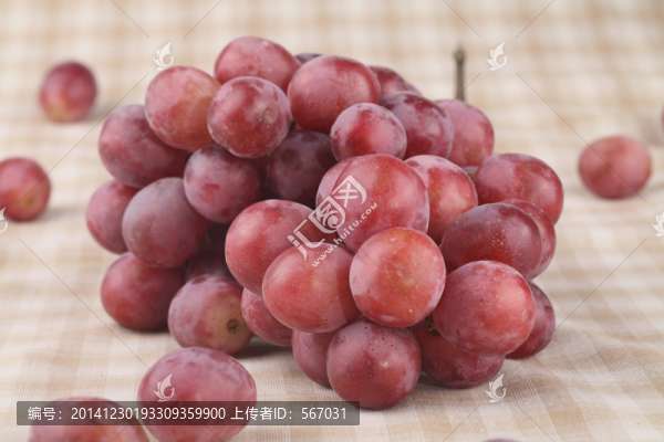 提子