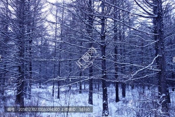 版畫雪林