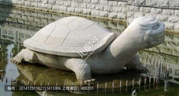 太昊陵靈佑池白龜