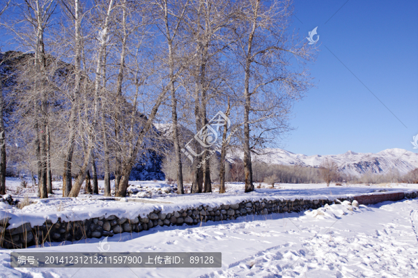 阿勒泰雪景