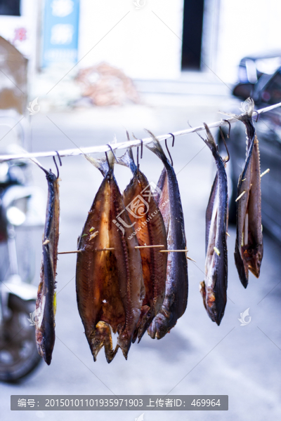 咸鲅魚